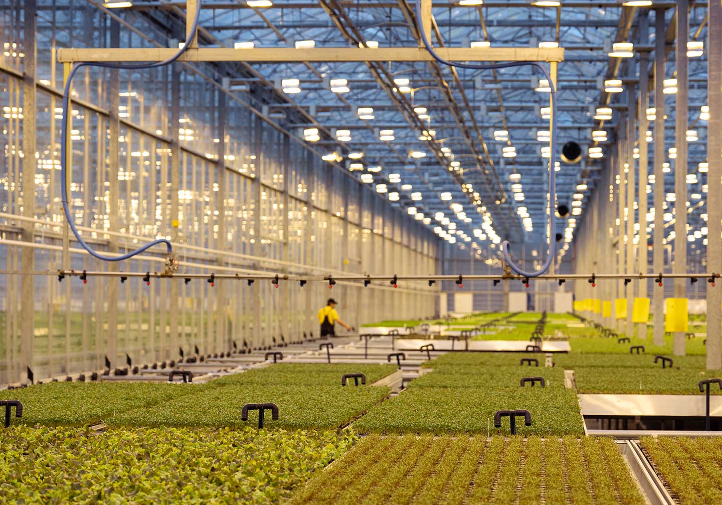 efficientamento-serre-agricoltura-conto-termico-abteco