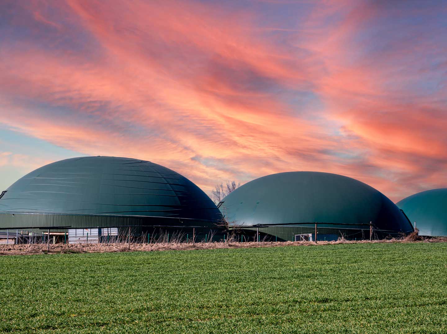impianti-biogas-allevamento-conto-termico-abteco