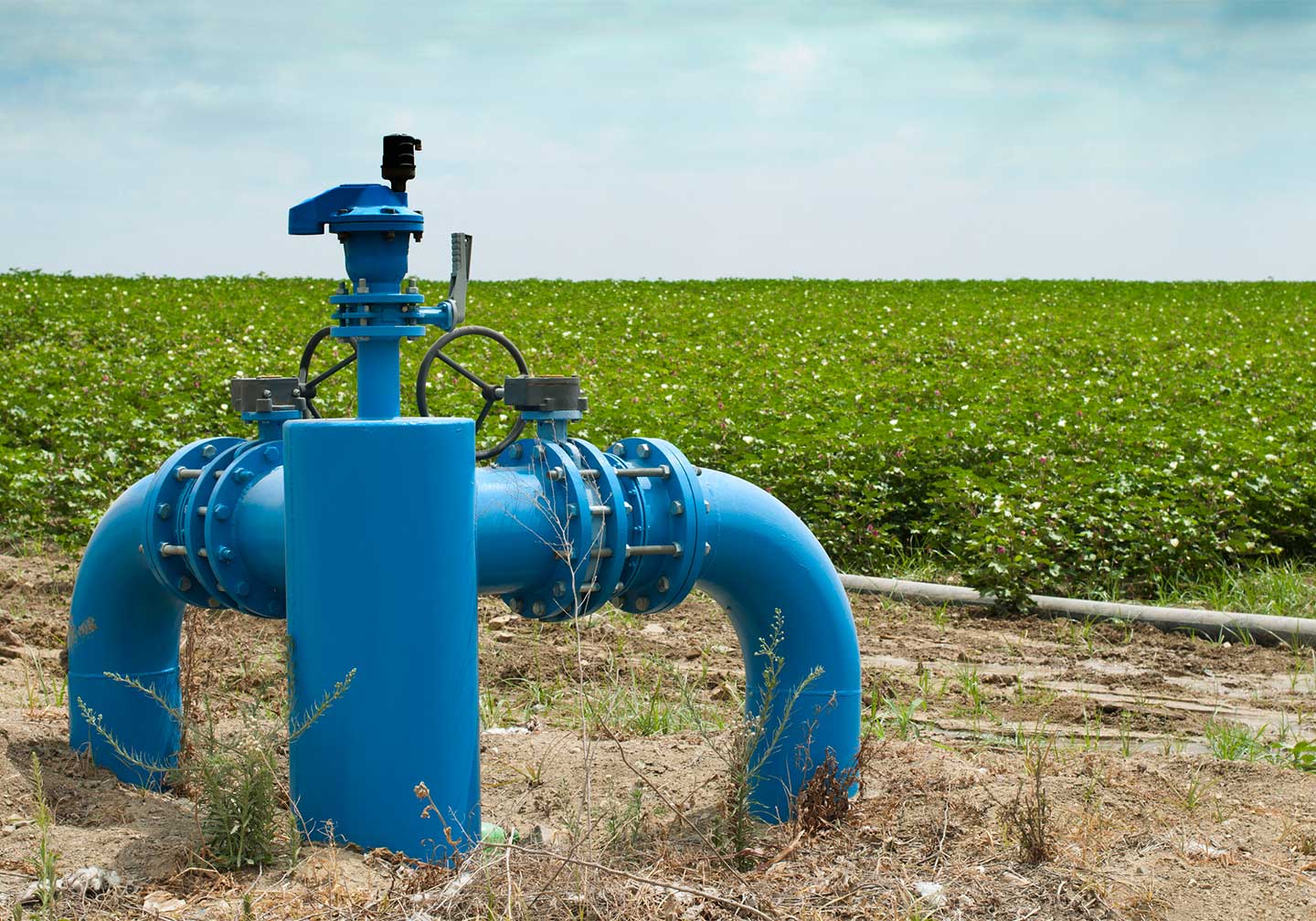 pompa-alta-efficenza-agricoltura-conto-termico-abteco
